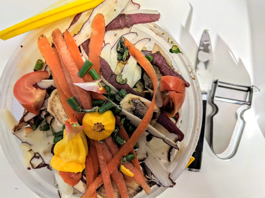 Food Waste Reduction Program Saves 2 Million Tons Across Japan