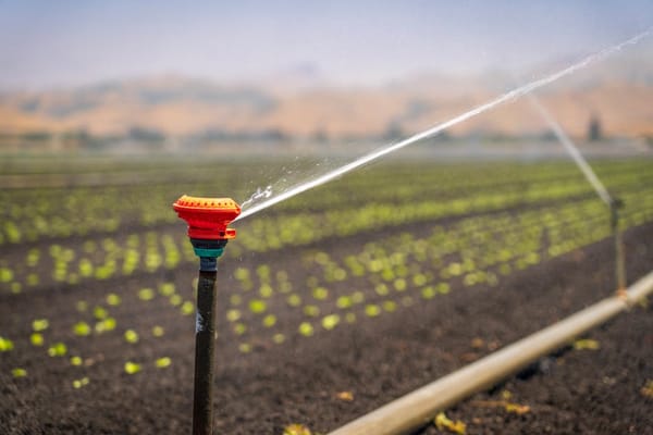Groundwater Depletion in North India Accelerates Beyond Projections