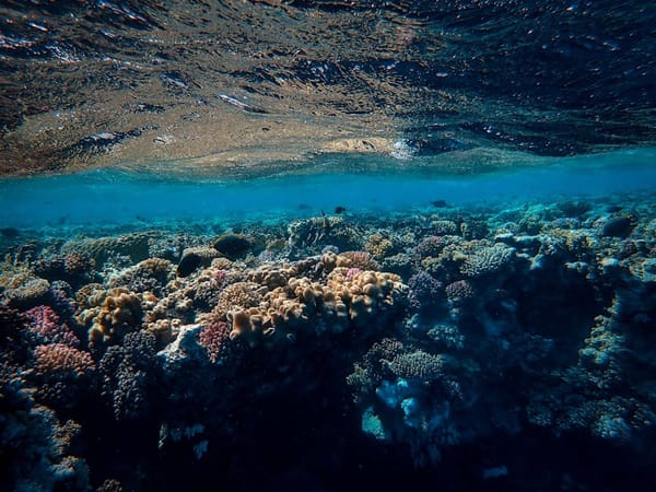 Philippines Establishes 24 New Marine Protected Areas in Sulu Sea