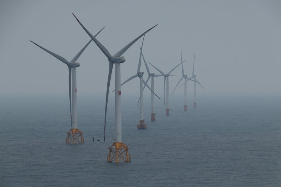 Vietnam's Offshore Wind Auction Awards 6 GW to International Developers