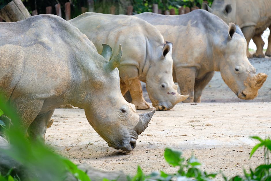 Pangolin Trafficking Ring Dismantled Across Five Southeast Asian Countries
